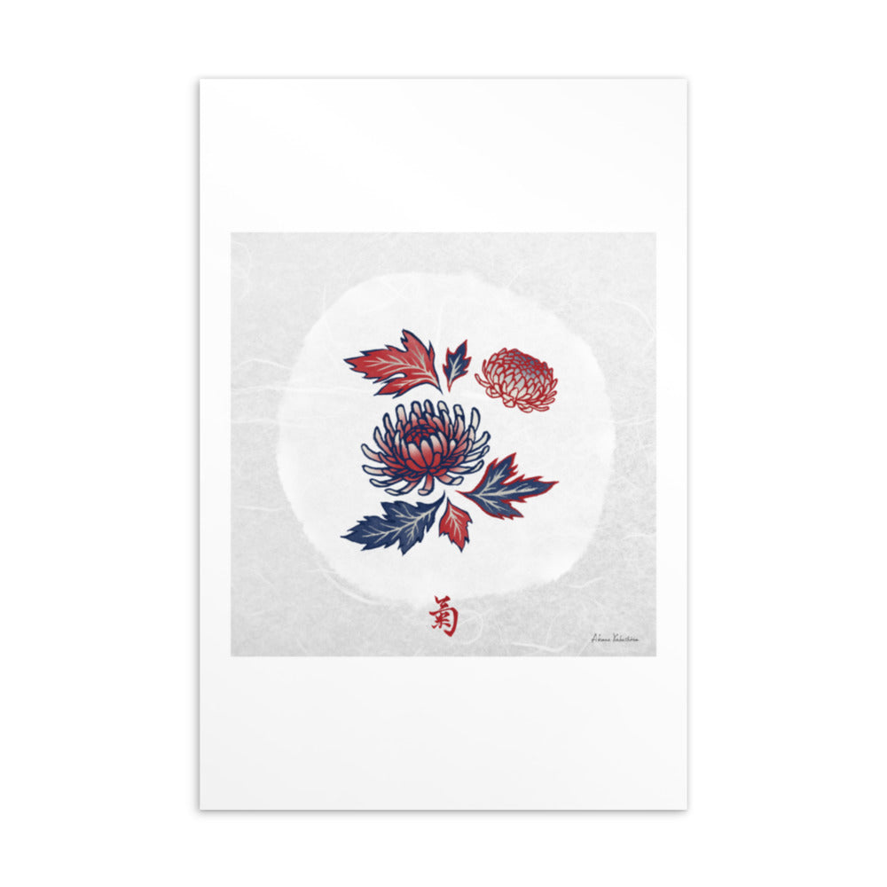 Chrysanthemum / Kiku Flower(菊) | Postcard