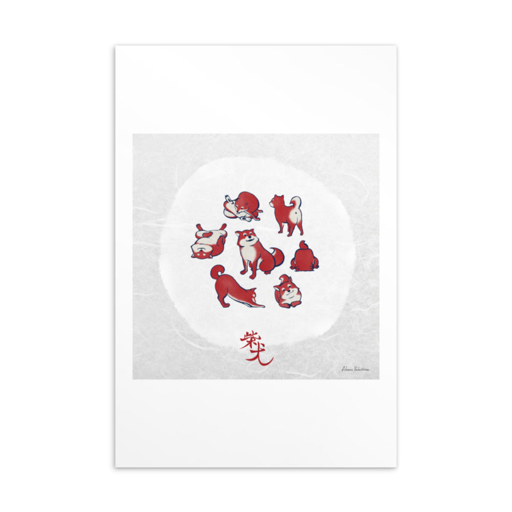 Shiba Dog / Shiba Inu(柴犬) | Postcard
